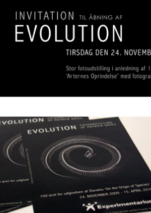 graphic design Evolution Marianne Larsen